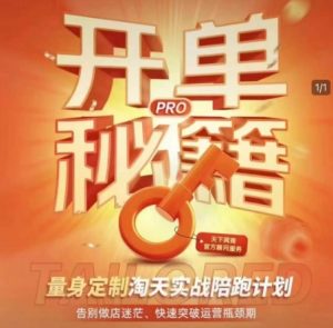 淘宝开单秘籍PRO,量身定制淘天实战陪跑计划,告别做店迷茫、快速突破运营瓶颈期-薪火元第一资源库