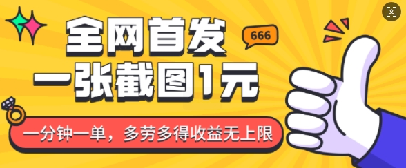 全网首发，一张截图1块钱，一分钟一单，多劳多得，收益无上限-梦凌网创