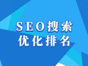抖音搜索SEO教程，抖音SEO搜索优化排名-薪火元第一资源库