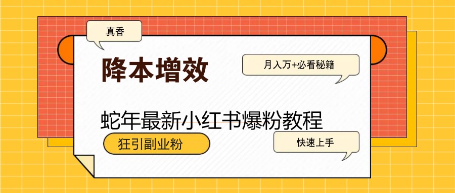 蛇年最新小红书爆粉教程，狂引副业粉，月入万+必看-梦凌网创