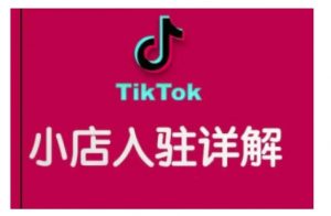 TikTok跨境小店运营全攻略，帮助你独立运营TK跨境小店的能力，实现销量增长-薪火元第一资源库