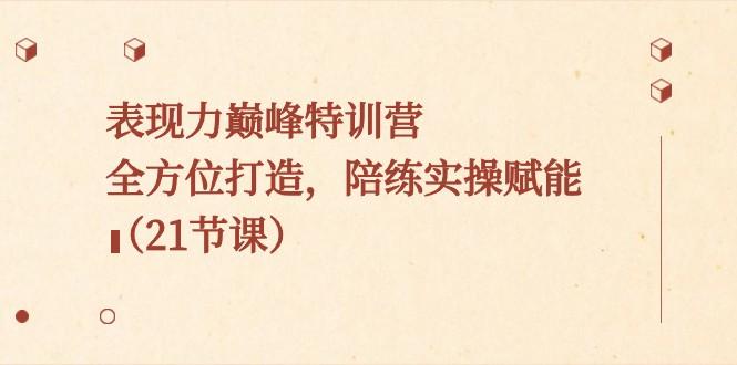 表现力巅峰特训营，全方位打造，陪练实操赋能（21节课）-梦凌网创