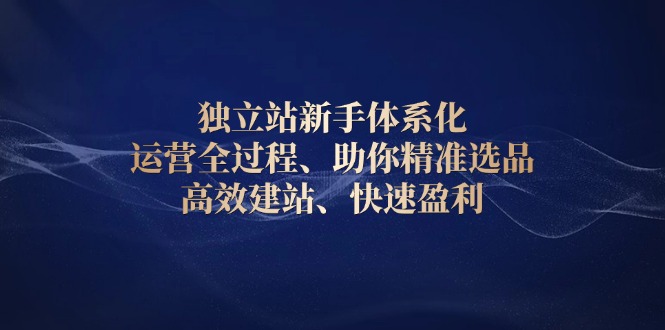 独立站新手体系化 运营全过程，助你精准选品、高效建站、快速盈利-梦凌网创