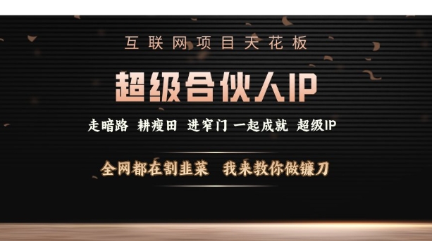 互联网项目天花板，超级合伙人IP，全网都在割韭菜，我来教你做镰刀【仅揭秘】-梦凌网创