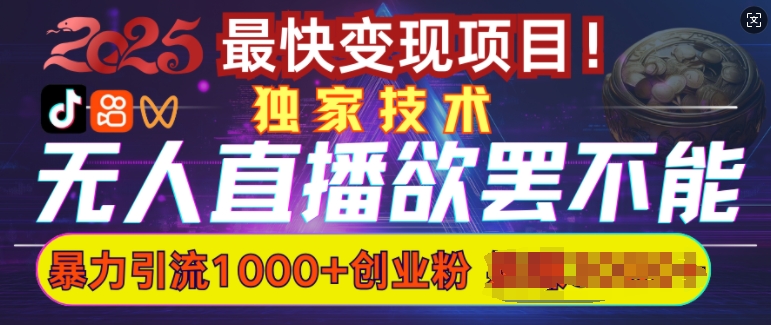 欲罢不能的无人直播引流，超暴力日引流1000+高质量精准创业粉-梦凌网创