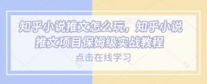 知乎小说推文怎么玩，知乎小说推文项目保姆级实战教程-薪火元第一资源库