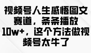 视频号人生感悟图文赛道,条条播放10w+,这个方法做视频号太牛了-薪火元第一资源库