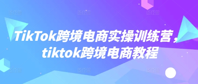 TikTok跨境电商实操训练营，tiktok跨境电商教程-梦凌网创