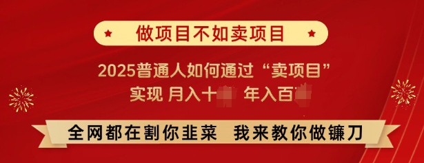 必看，做项目不如卖项目，2025普通人如何通过“卖项目”实现月入十个，年入百个-梦凌网创