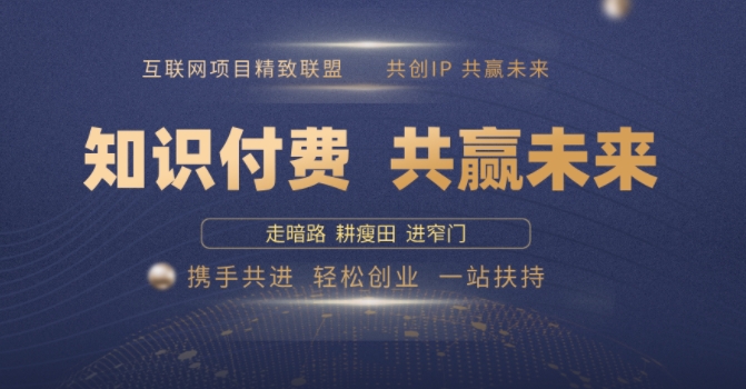 别人苦寻无果，为何他们靠知识付费卖项目 2025 年轻松年入100个?【揭秘】-梦凌网创