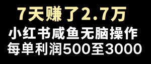 全网首发，7天赚了2.6万，2025利润超级高！-薪火元第一资源库
