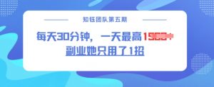 副业她只用了1招，每天30分钟，无脑二创，一天最高1.5k-薪火元第一资源库