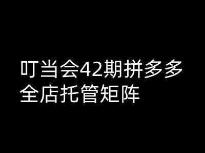 叮当会拼多多打爆班原创高阶技术第42期，拼多多全店托管矩阵-梦凌网创