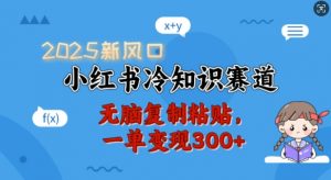 2025新风口,小红书冷知识赛道,无脑复制粘贴,一单变现300+-薪火元第一资源库