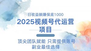 2025视频号代运营 日躺赚1000+ 只需提供账号-薪火元第一资源库
