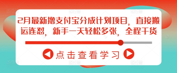 2月最新撸支付宝分成计划项目，直接搬运连怼，新手一天轻松多张，全程干货-梦凌网创