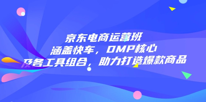 京东电商运营班：涵盖快车，DMP核心及各工具组合，助力打造爆款商品-梦凌网创