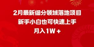 2月最新细分领域落地项目,新手小白也可快速上手,月入1W-薪火元第一资源库
