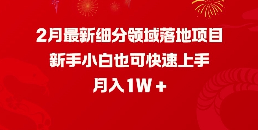 2月最新细分领域落地项目，新手小白也可快速上手，月入1W-梦凌网创