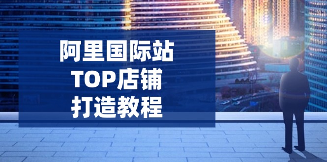 阿里国际站TOP店铺打造教程：涵盖平台到高阶，解决运营难题，提升询盘-梦凌网创