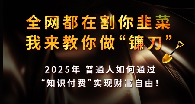全网都在割你韭菜，我来教你做镰刀，2025年普通人如何通过 知识付费 实现财F自由【揭秘】-梦凌网创