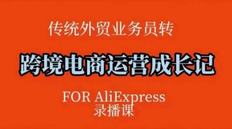 跨境电商速卖通运营课，​运营方法论+后台实操，逻辑清晰-梦凌网创