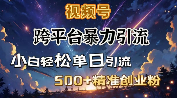 跨平台暴力引流，私域完美闭环，日引500+精准创业粉-梦凌网创
