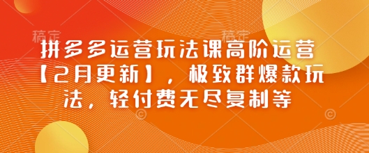 拼多多运营玩法课高阶运营【2月更新】，极致群爆款玩法，轻付费无尽复制等-梦凌网创