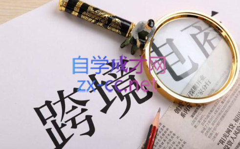 帮课大学VIP会员课程(更新2025年)-梦凌网创