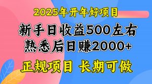 2025开年好项目,单号日收益2000左右-薪火元第一资源库