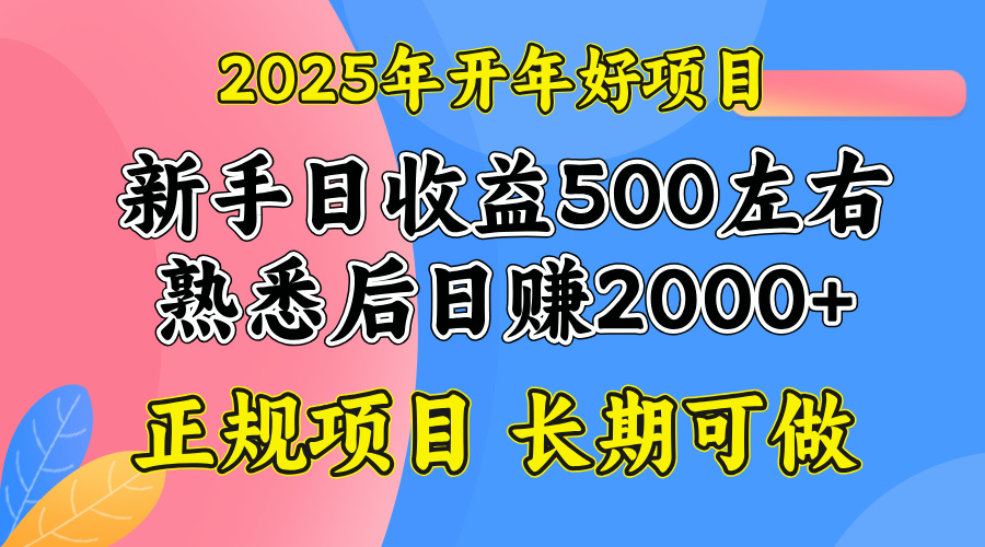 2025开年好项目，单号日收益2000左右-梦凌网创
