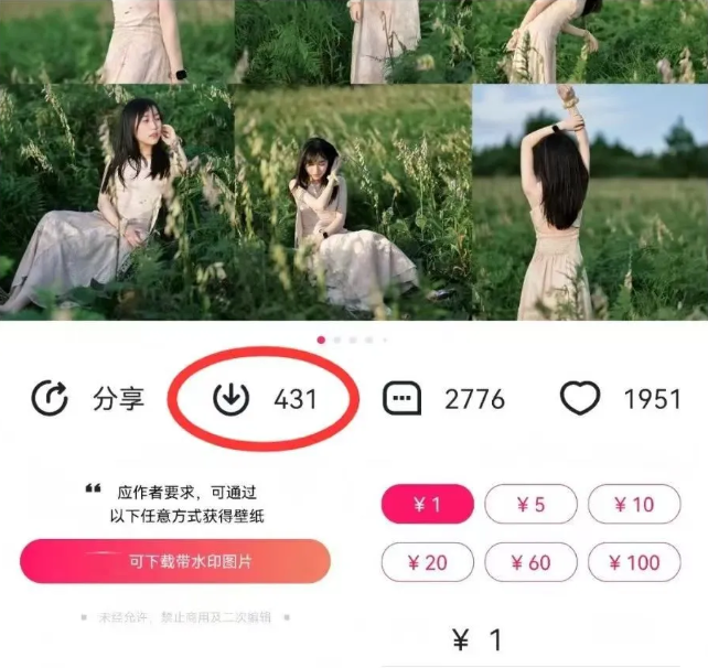 最新图虫搬运项目，收益无上限，利用AI小白也可日赚500+-梦凌网创