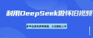 利用DeepSeek做怀旧视频，流量号多渠道变现能力强-薪火元第一资源库