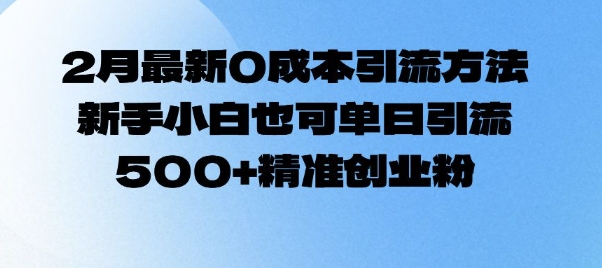 2月最新0成本引流方法，新手小白也可单日引流500+精准创业粉-梦凌网创