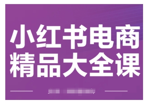 小红书电商精品大全课，快速掌握小红书运营技巧，实现精准引流与爆单目标，轻松玩转小红书电商(更新2月)-梦凌网创