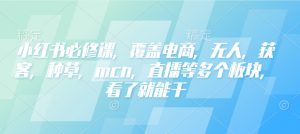 小红书必修课,覆盖电商,无人,获客,种草,mcn,直播等多个板块,看了就能干-薪火元第一资源库