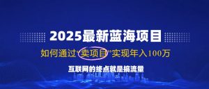 2025最新蓝海项目，零门槛轻松复制，月入10万+，新手也能操作！-薪火元第一资源库