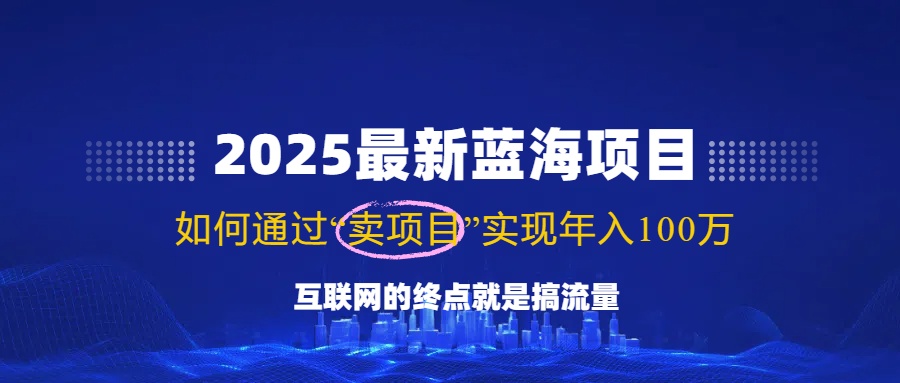 2025最新蓝海项目，零门槛轻松复制，月入10万+，新手也能操作！-梦凌网创