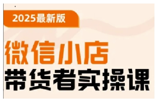 2025最新版微信小店带货者实操课，基础操作到高级运营技巧，快速上手-梦凌网创