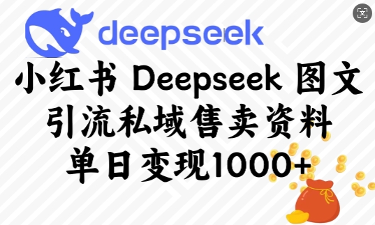 小红书Deepseek图文引流私域售卖资料，单日变现多张-梦凌网创