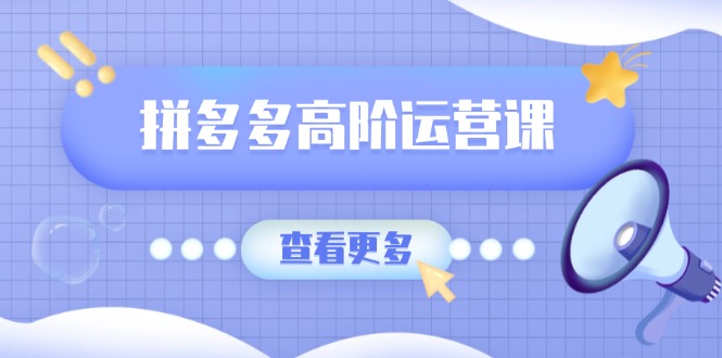 拼多多高阶运营课：极致群爆款玩法，轻付费无尽复制，打造单品爆款之路-梦凌网创