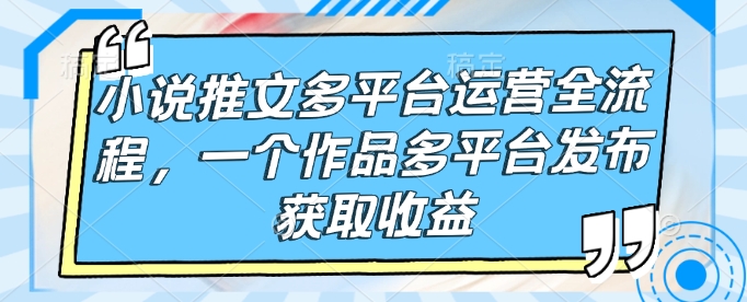 小说推文多平台运营全流程，一个作品多平台发布获取收益-梦凌网创