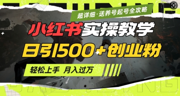 2月小红书最新日引500+创业粉实操教学【超详细】小白轻松上手，月入1W+，附小红书养号起号SOP-梦凌网创