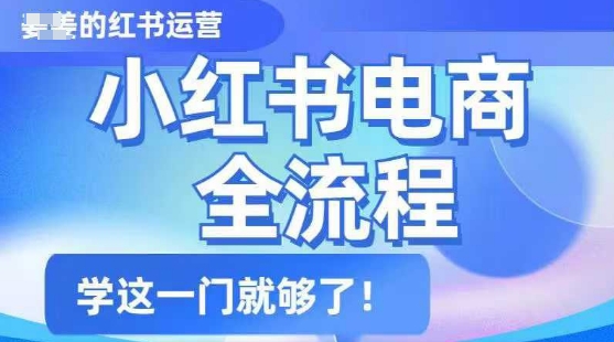小红书电商全流程，精简易懂，从入门到精通，学这一门就够了-梦凌网创