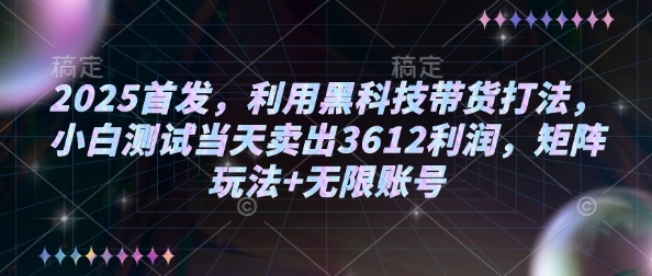2025首发，利用黑科技带货打法，小白测试当天卖出3612利润，矩阵玩法+无限账号【揭秘】-梦凌网创