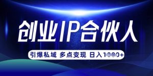 云帆·创业ip合伙人打造3.0,从0到1教你做网创,实现月入过W-薪火元第一资源库