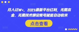 月入过W+,2025最新平台红利,无需本金、无需技术绑定账号就能自动收米-薪火元第一资源库