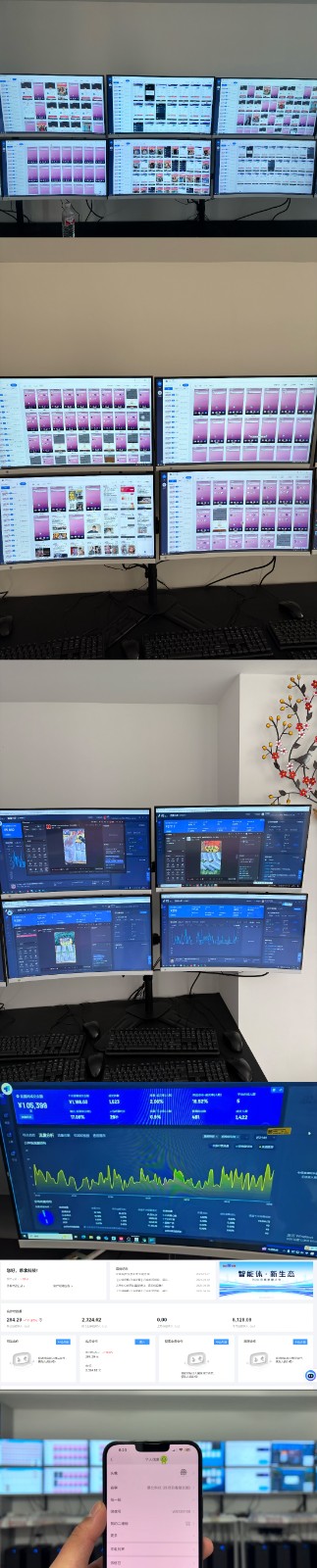 实操项目合集 挂机类型 直播类型 轻资产创业类型 课程分享各项目介绍和原理-梦凌网创