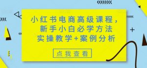 小红书电商高级课程,新手小白必学方法,实操教学+案例分析-薪火元第一资源库