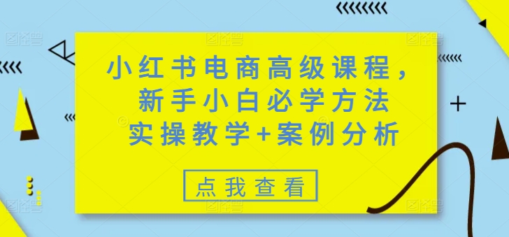 小红书电商高级课程，新手小白必学方法，实操教学+案例分析-梦凌网创